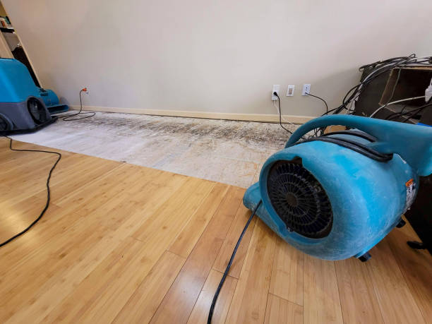 Professional Water Extraction technician working in Thermal, CA